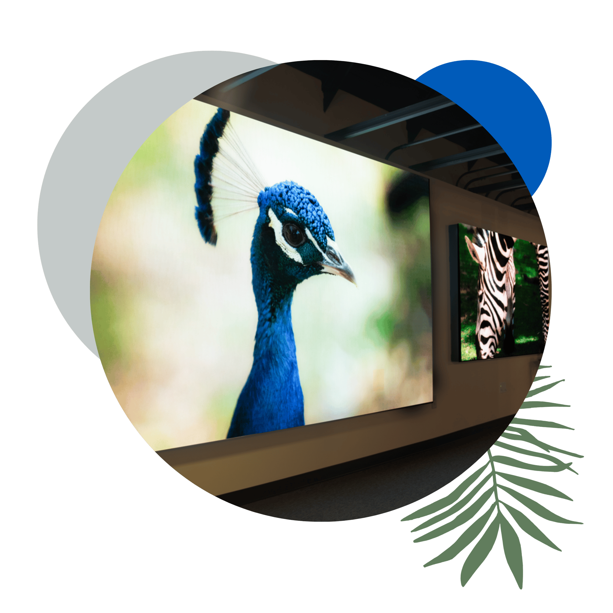 Join Us at the Cleveland Zoo! 🌟